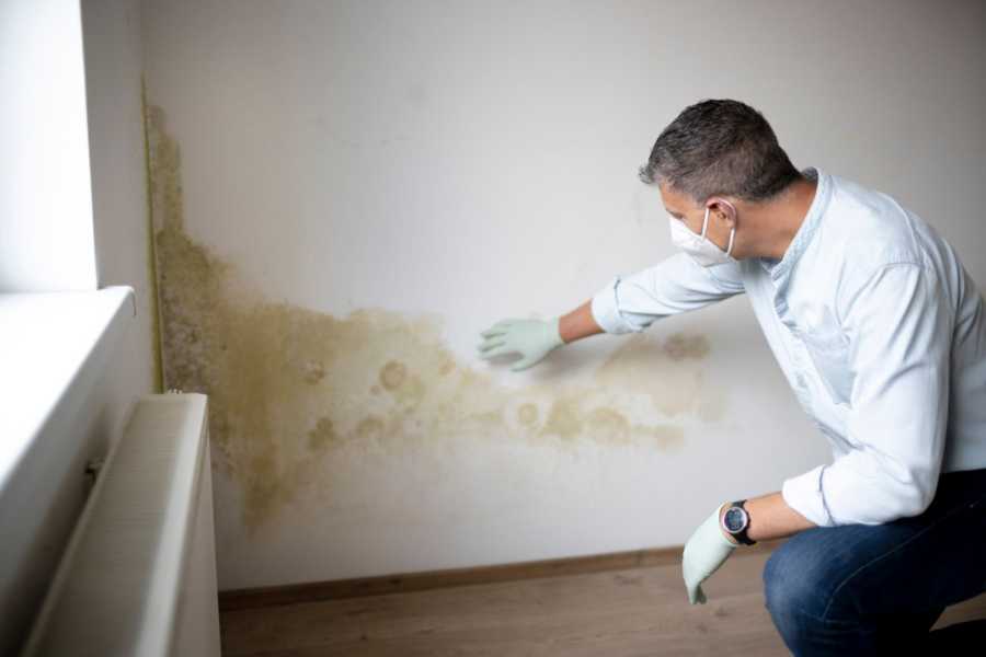 Moho en el apartamento: ¿cuándo no puedes pagar el alquiler?