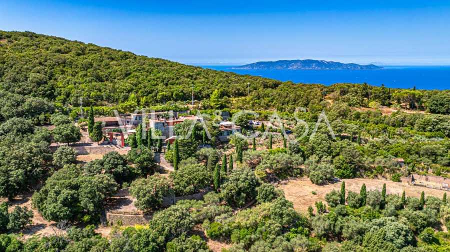 Villa Joe Pomodoro con vista al mar en Monte Argentario