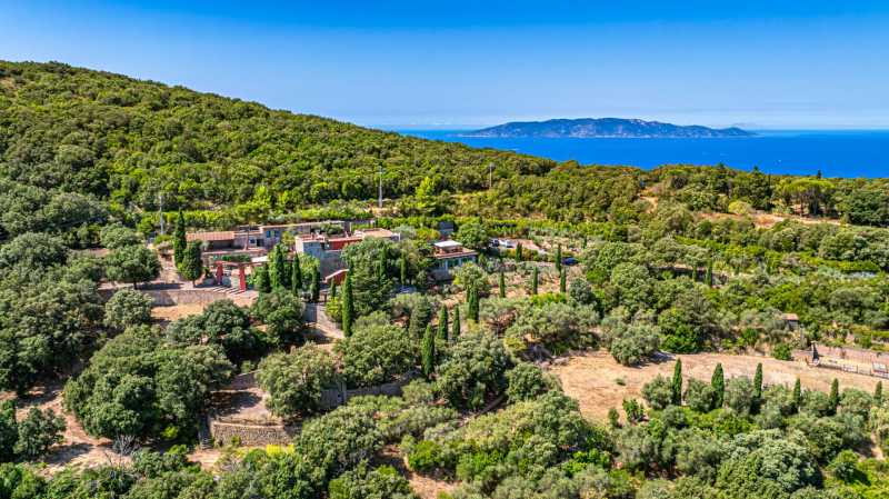 Villa Joe Pomodoro con vista al mar en Monte Argentario