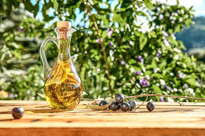 Producción de aceite de oliva en Liguria