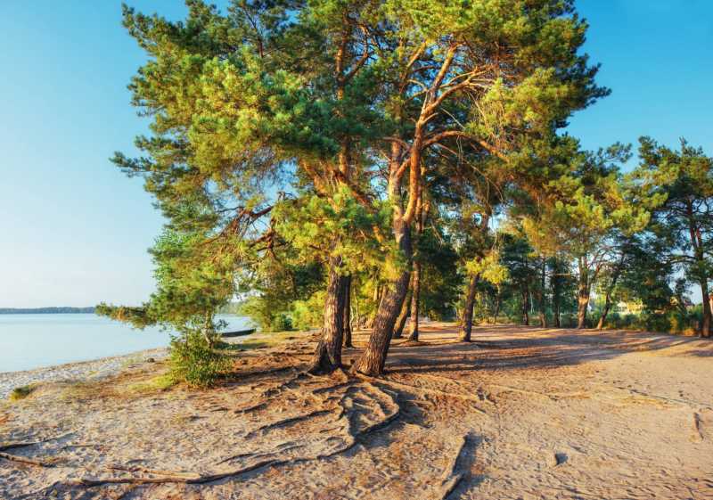 Camping junto al mar en Toscana en venta