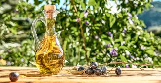 Producción de aceite de oliva en Liguria