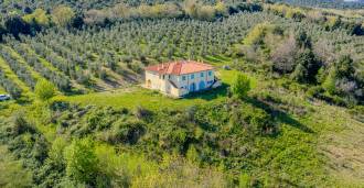 Finca en Manciano, Toscana en venta