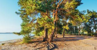 Camping junto al mar en Toscana en venta