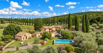 Terreno en venta con olivos cerca de Siena, Toscana